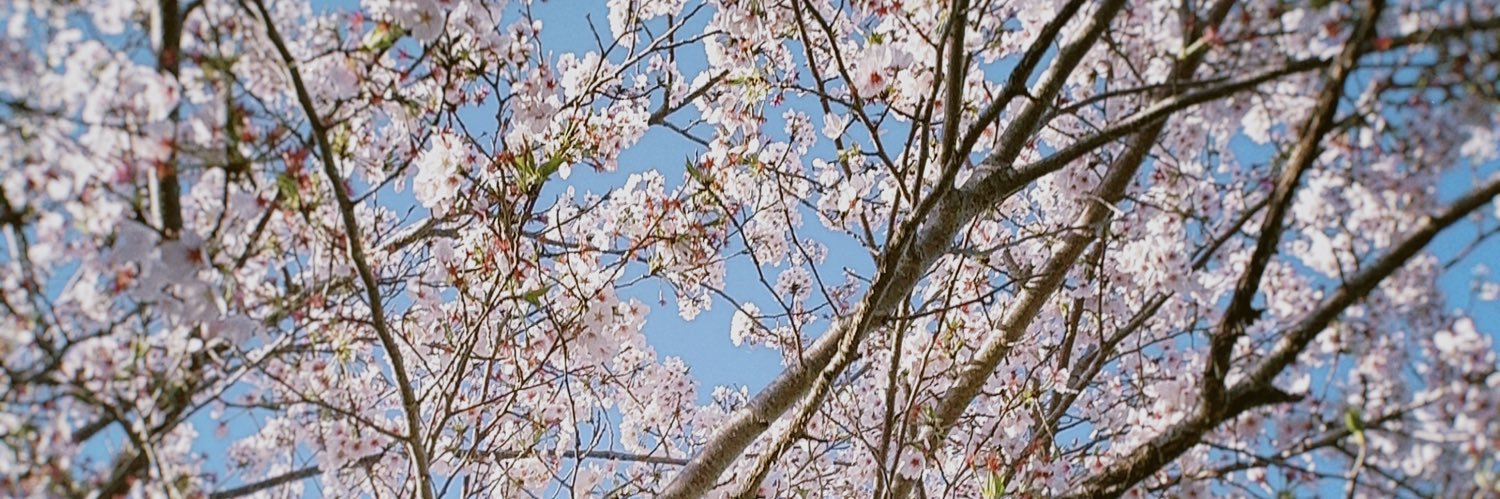isuperara's profile banner image