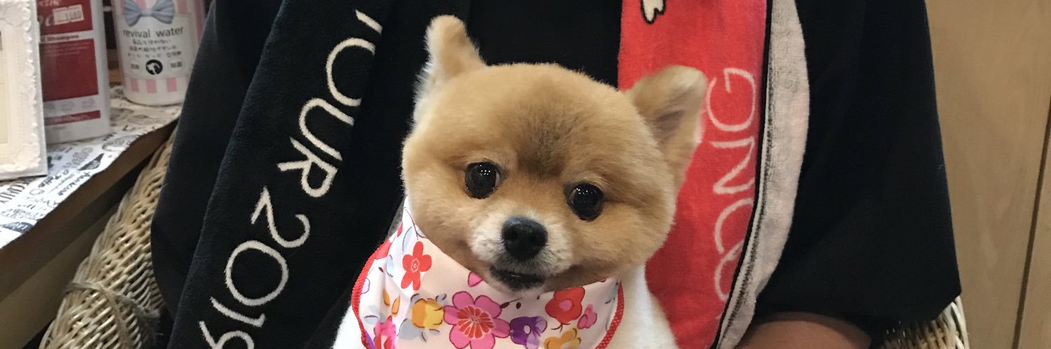 minmin62099's profile banner image