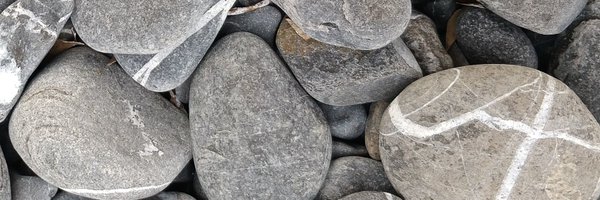 osanchezmon Profile Banner