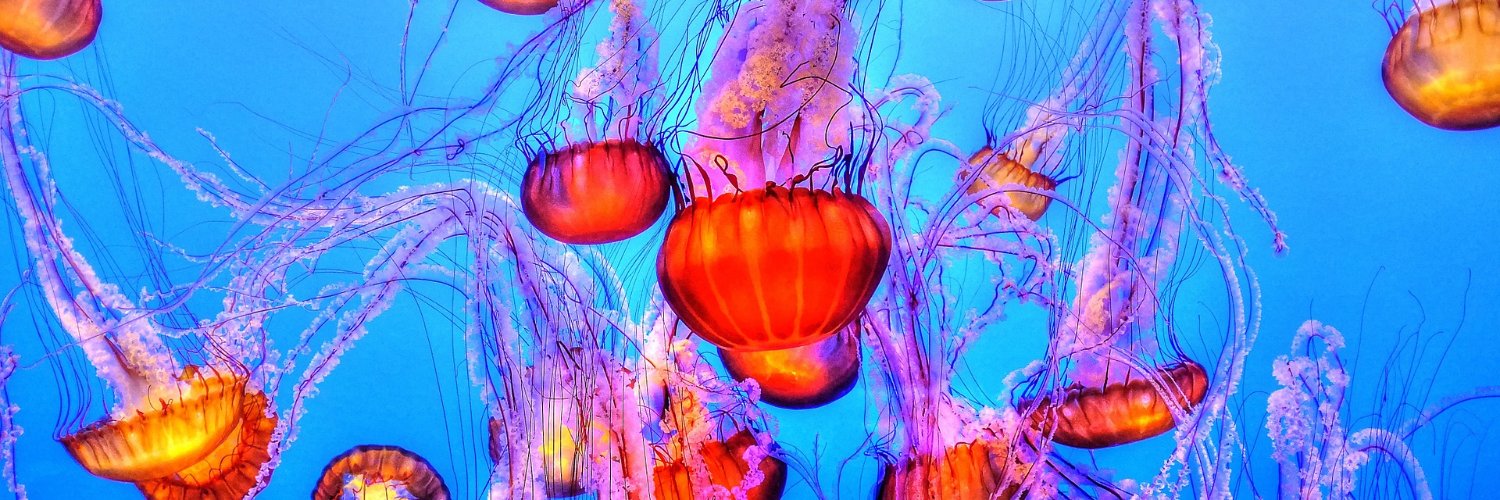 meditatewithme banner