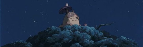 Storifr Profile Banner