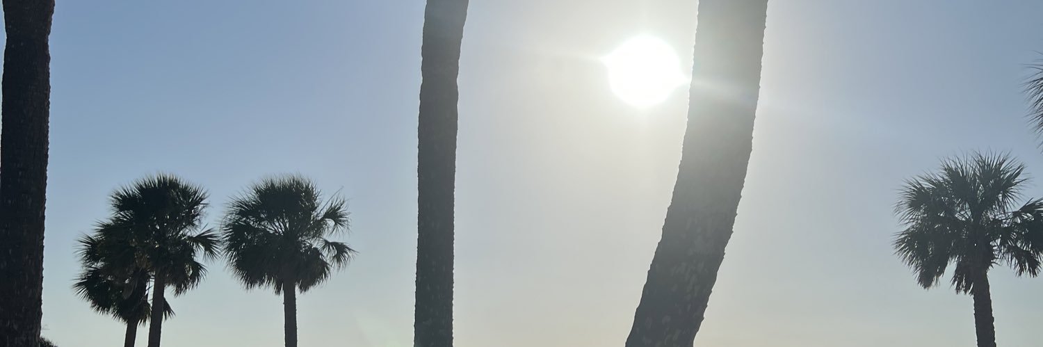 Amy Elizabeth banner