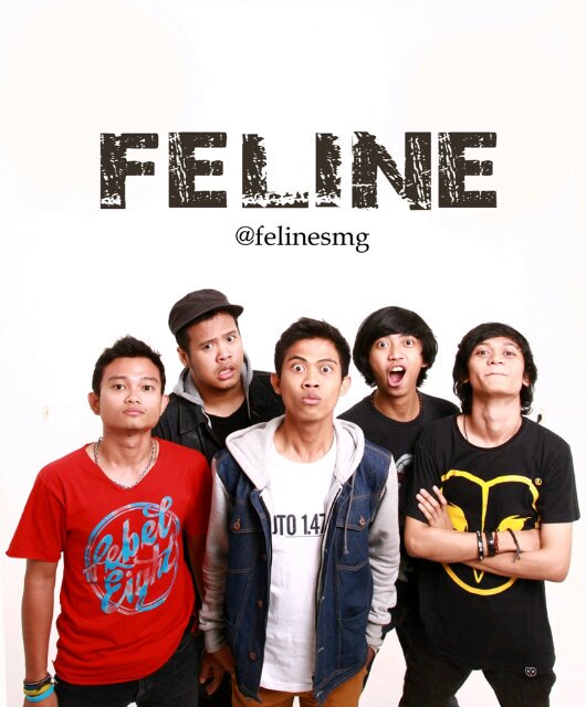 Feline Official banner