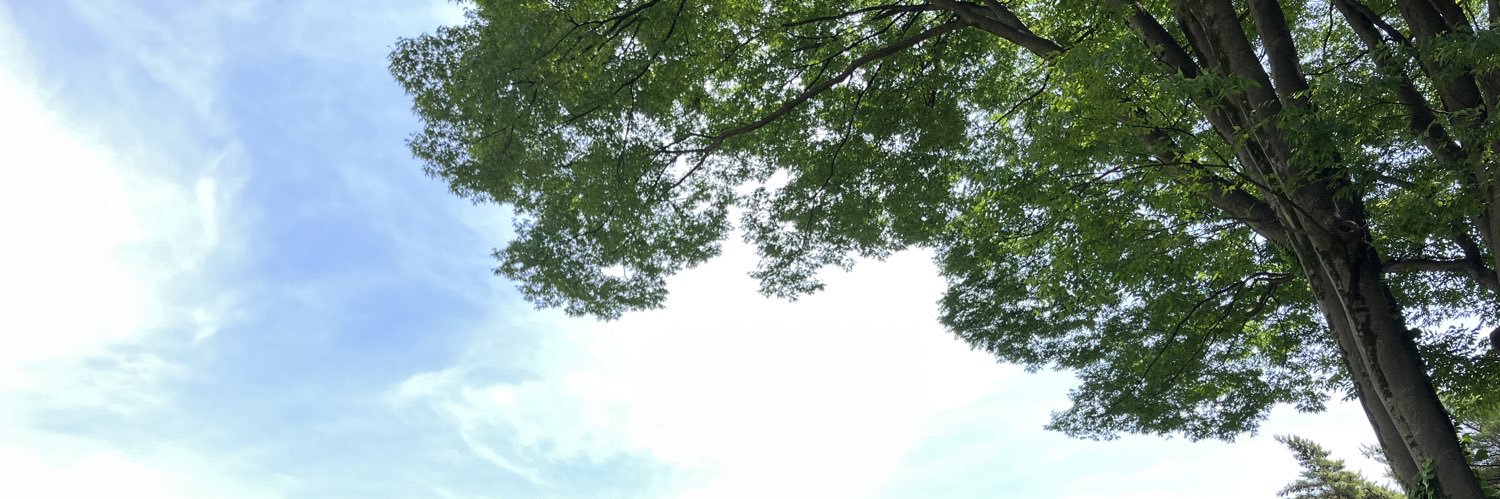 古俣 麻弥（こまた まや） banner