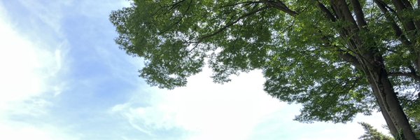 maya527 Profile Banner