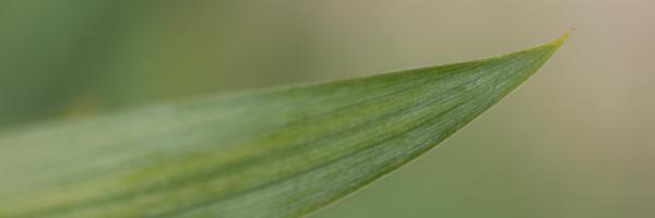 erwanaliasr1 Profile Banner