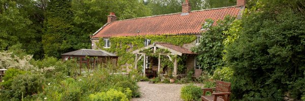 AnnaLuptonSays Profile Banner