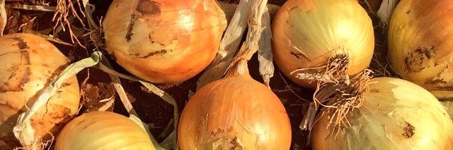 Mudumenwemari..Int'l banner