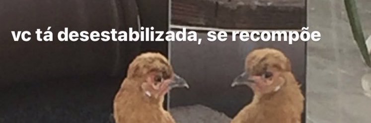 piada e humilhação 🤌🏻🫴🏻 banner