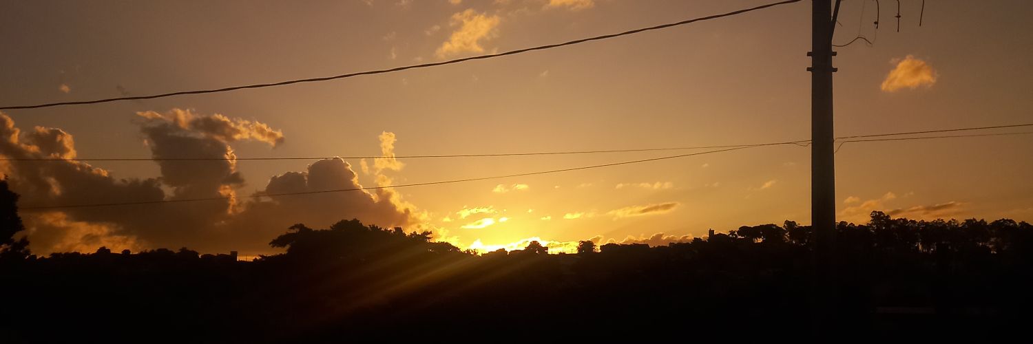 zarpery_'s profile banner image
