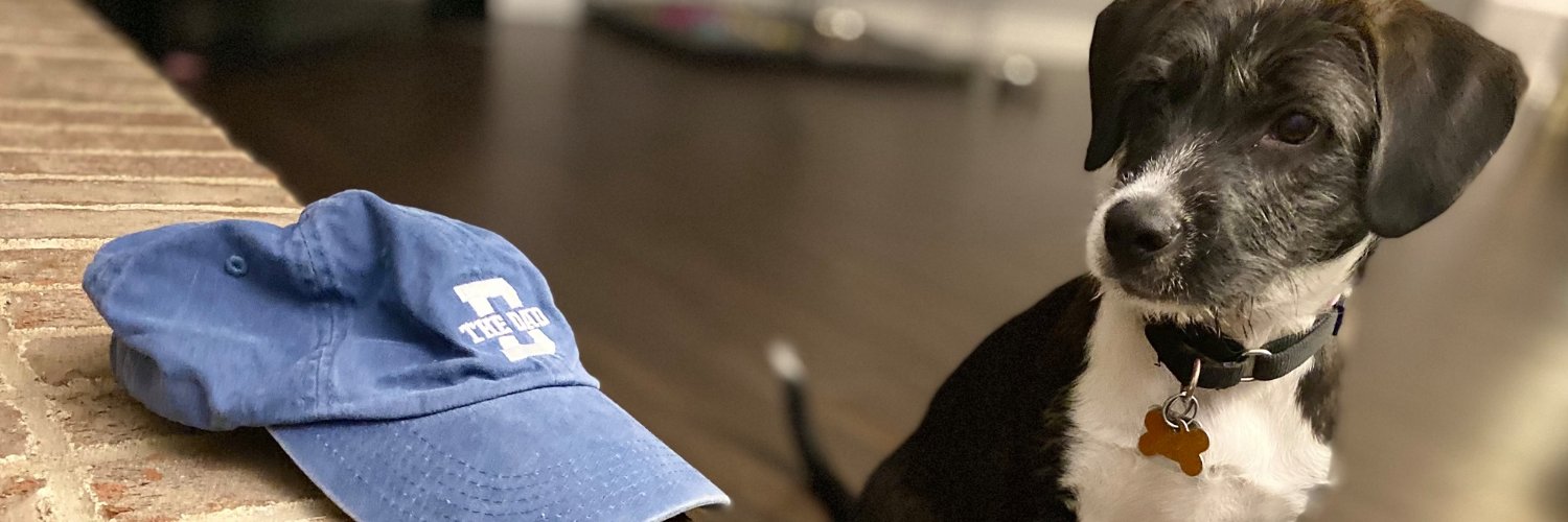 thedadpets's profile banner image