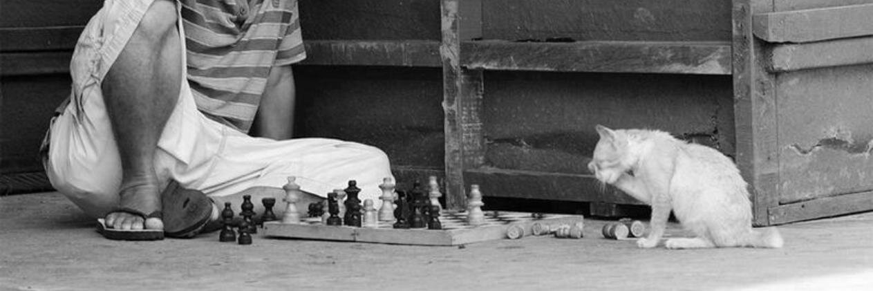 ACHeterodoxa's profile banner image