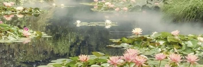 🌿𝗡𝗮𝗿𝗶 🌿 banner