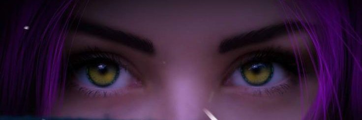 She Zzi banner