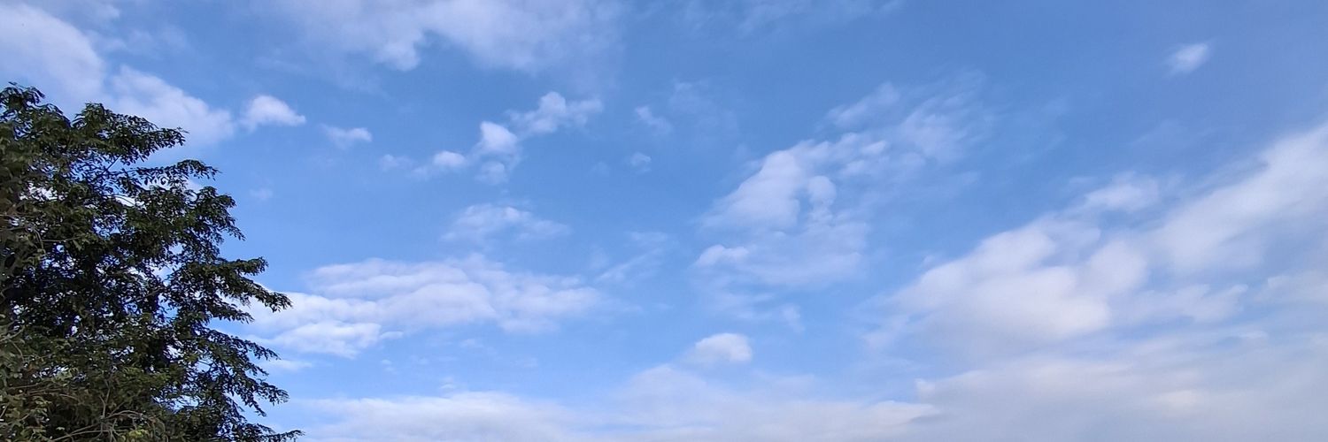 salmaintaaan's profile banner image