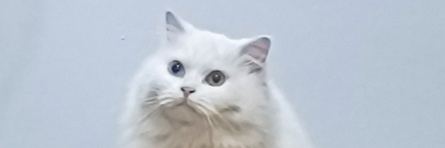 yesitsdoubleN's profile banner image
