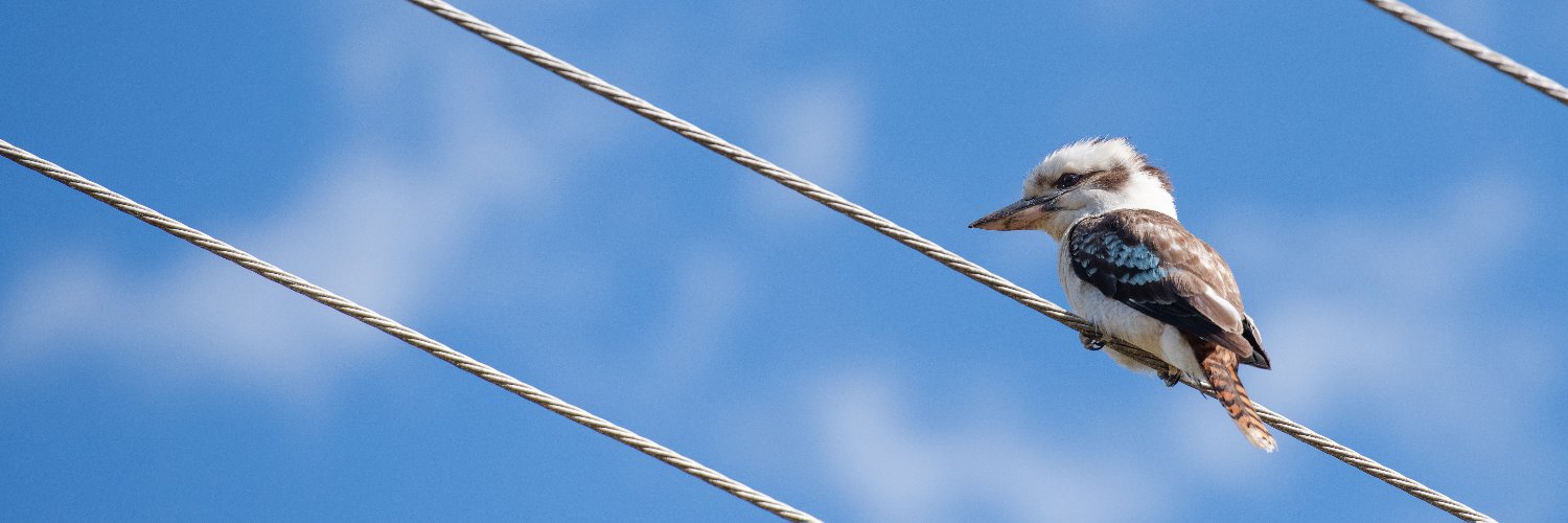Australasian Animal Studies Association's banner