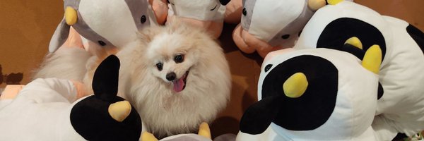 usa_wanwanwanko Profile Banner