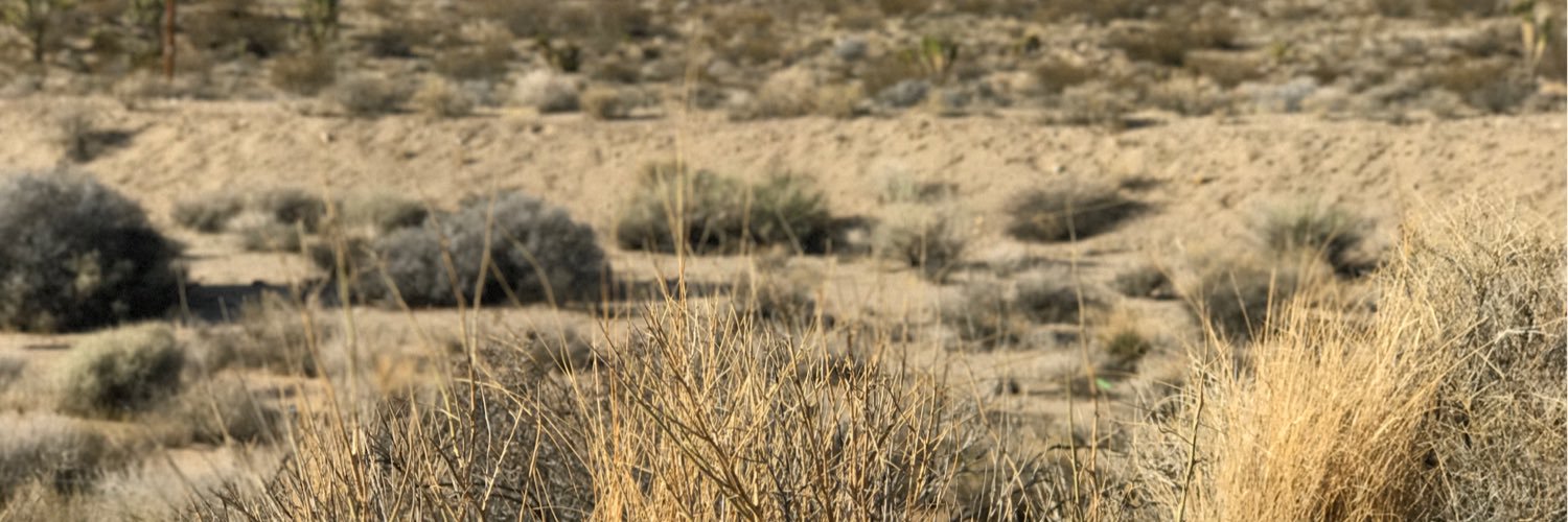 LazyFirst's profile banner image