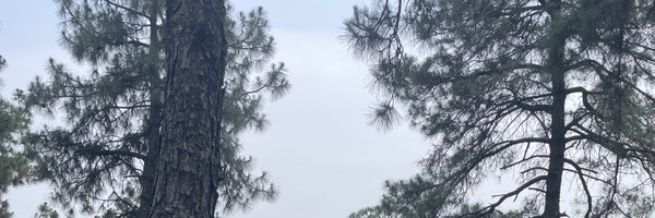 erinyhl1314 Profile Banner