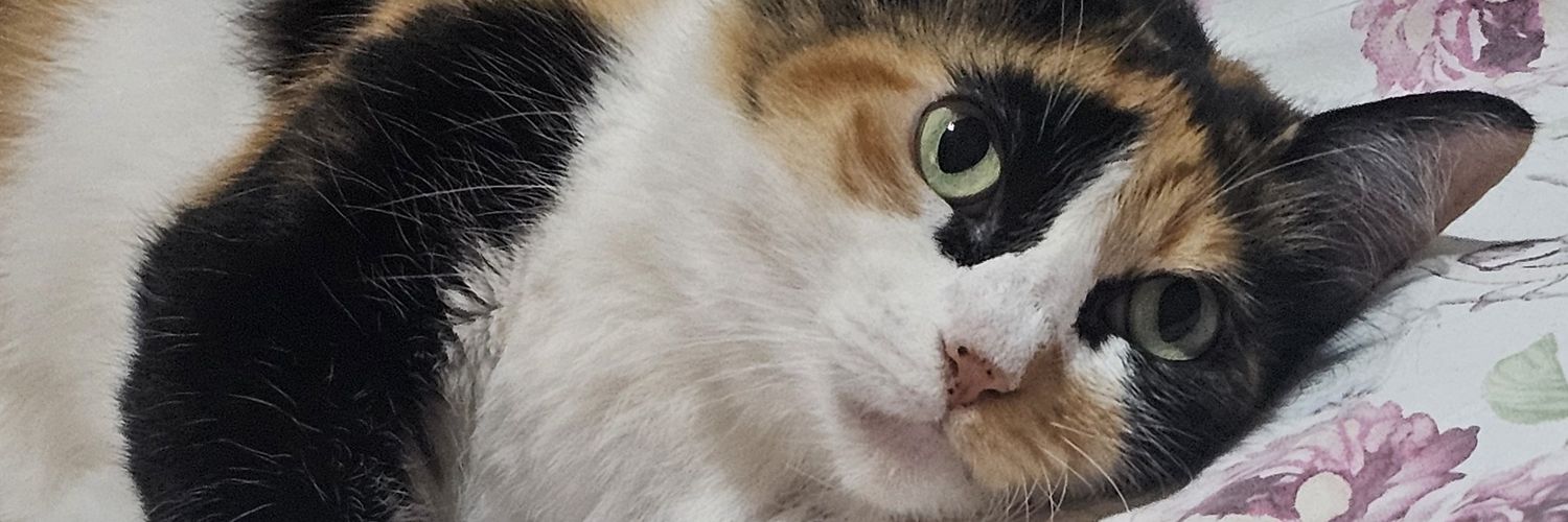 vitcn_'s profile banner image