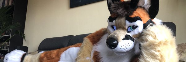 KartFox Profile Banner