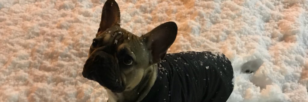 McneeMartin's profile banner image