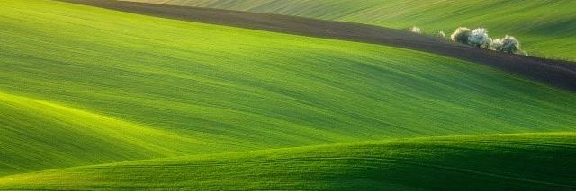 barbara mancia banner
