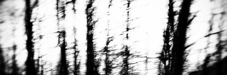 metanoiavoid's profile banner image