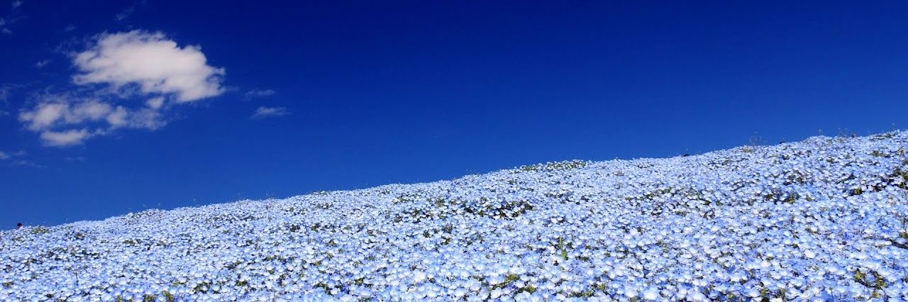 ゆかねぇ banner