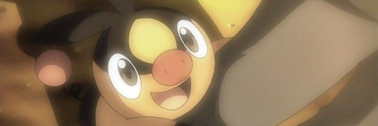 Tepig Propaganda's banner