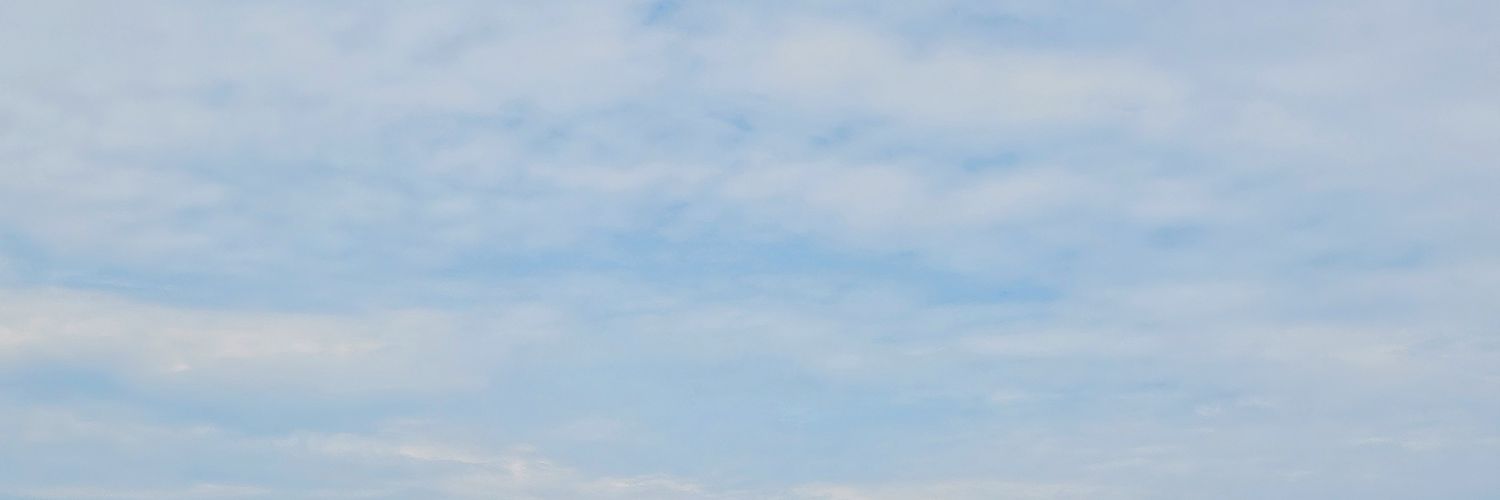 miao banner