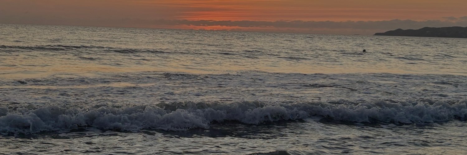 PachecoJedidia's profile banner image