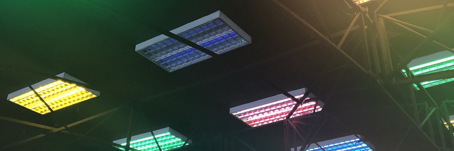 ivankipp's profile banner image