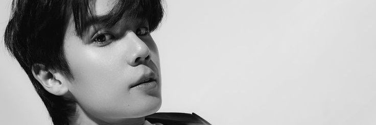 dodo banner