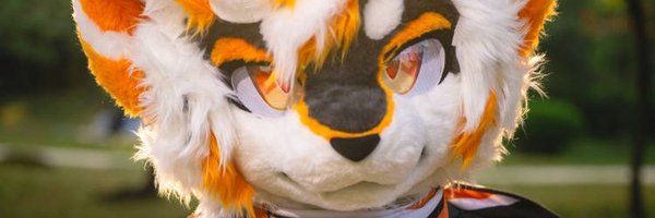 TinkerRYH Profile Banner