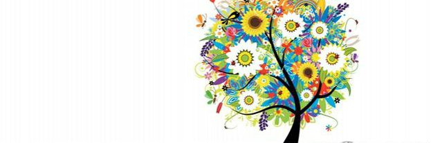 nikiool's profile banner image