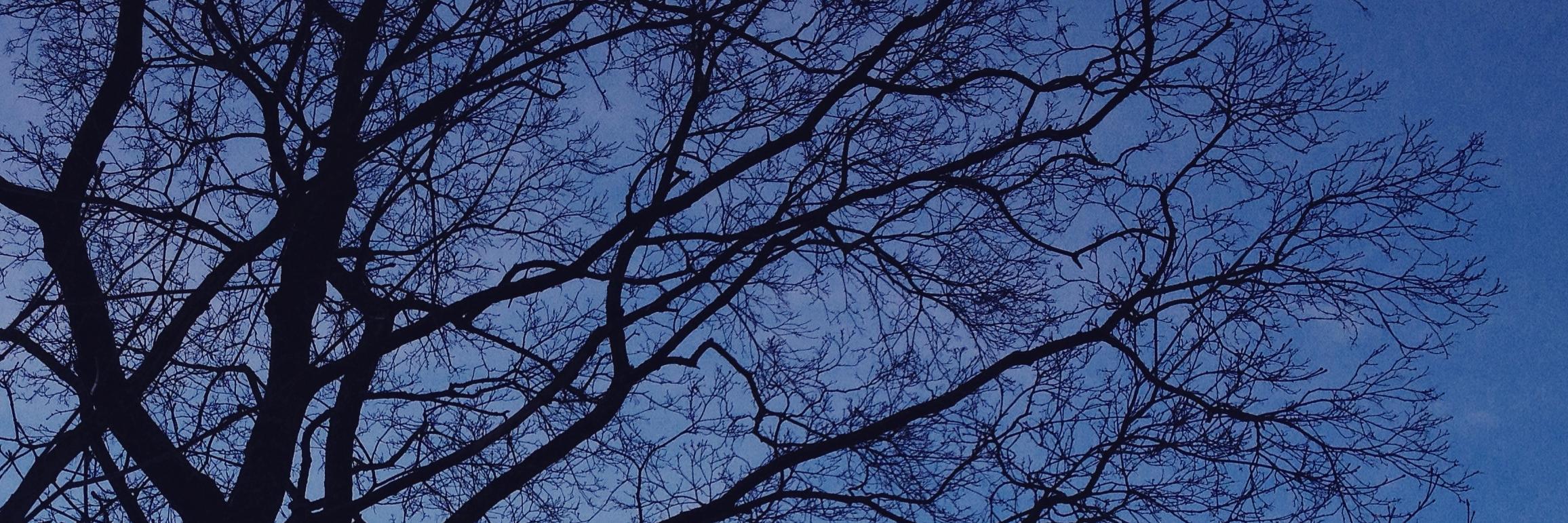 MariaHalonen's profile banner image