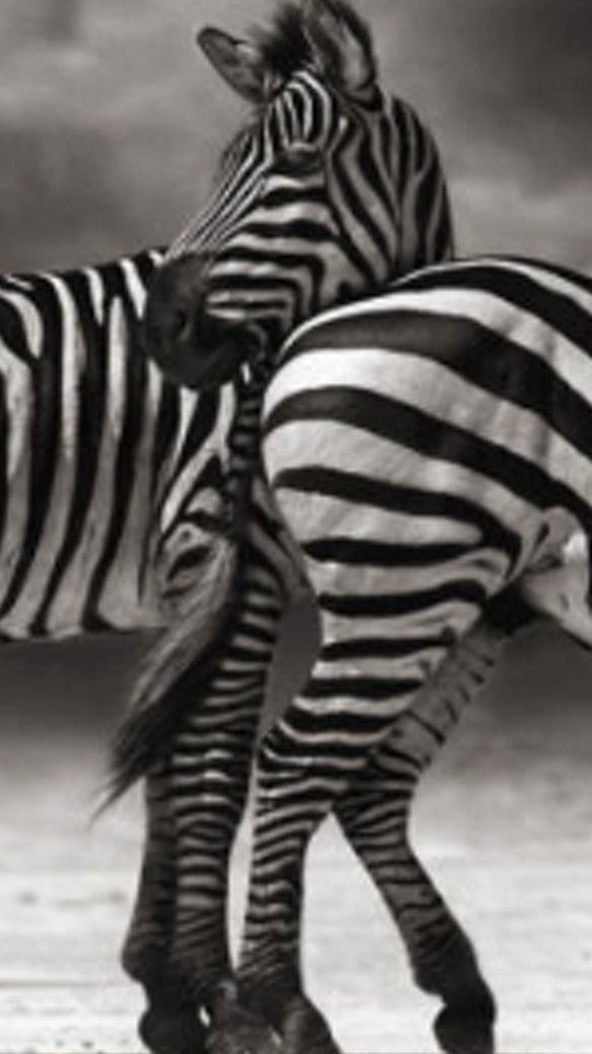 jsemullo's profile banner image