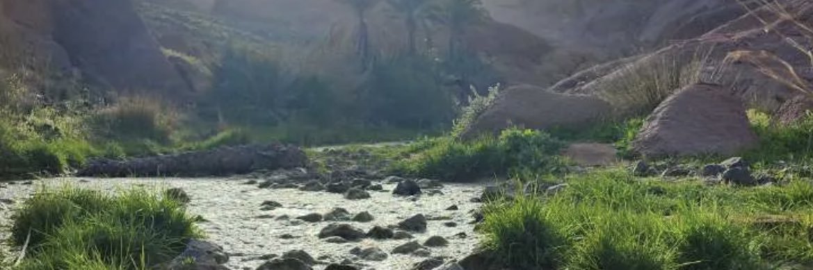 Abd_AlSaeed's profile banner image