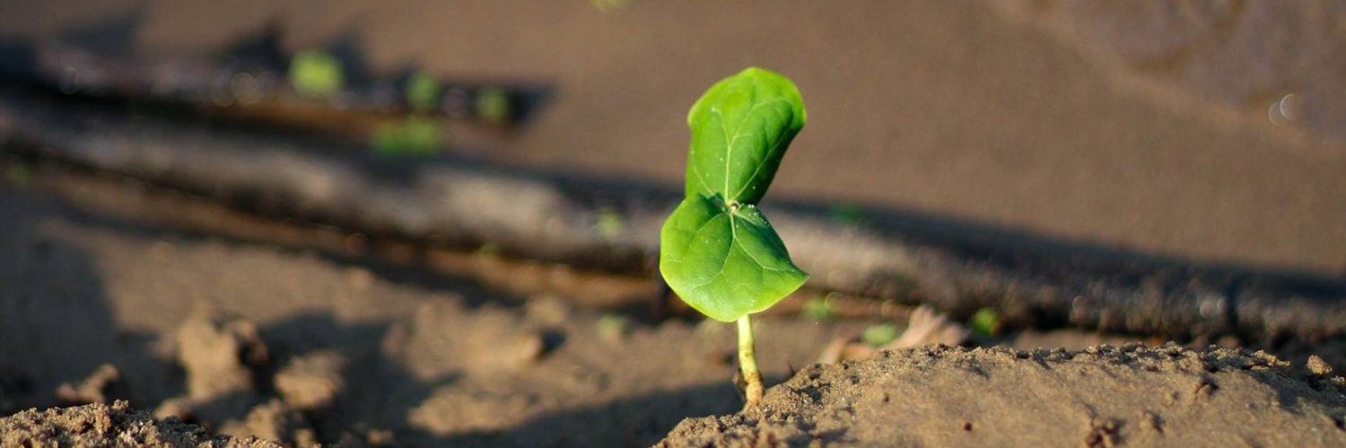 g_colibria's profile banner image