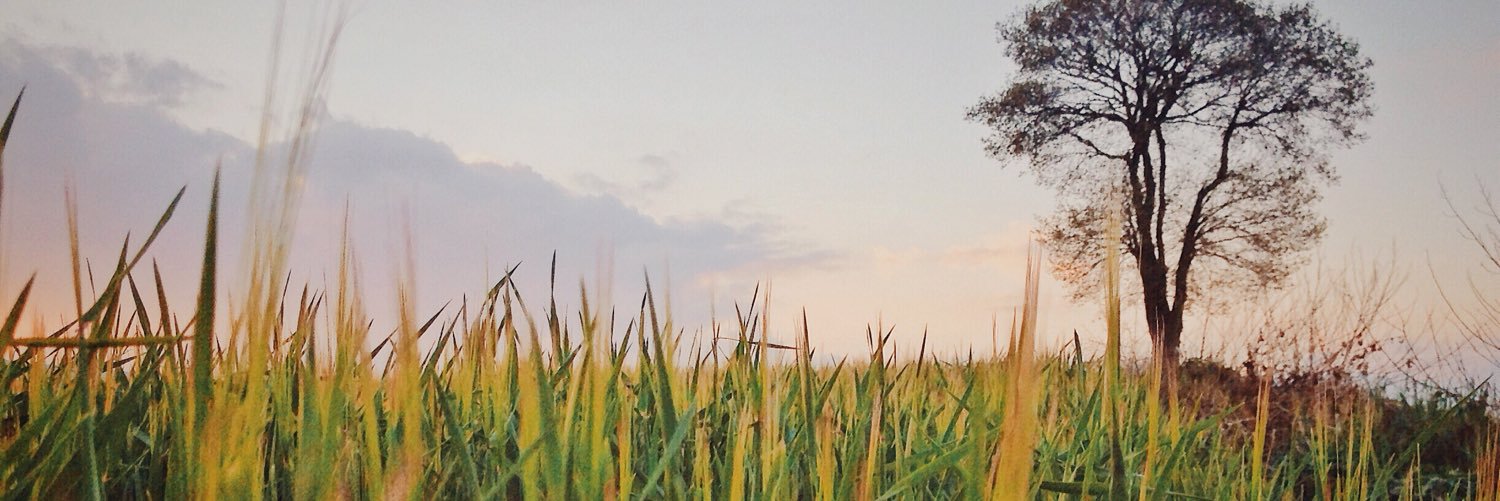 criptonita_'s profile banner image