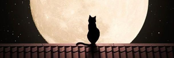 _Mochiii22's profile banner image