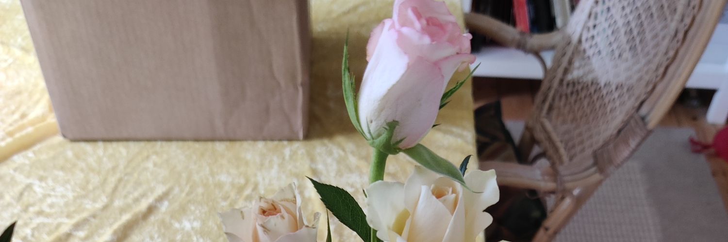 Birgit_Broe's profile banner image
