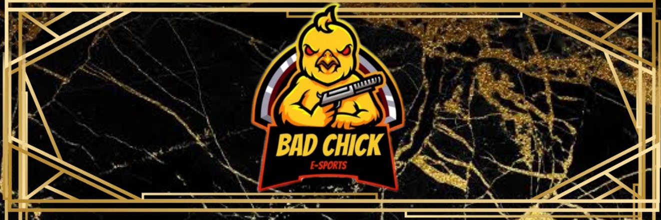 Bad Chick Esports banner