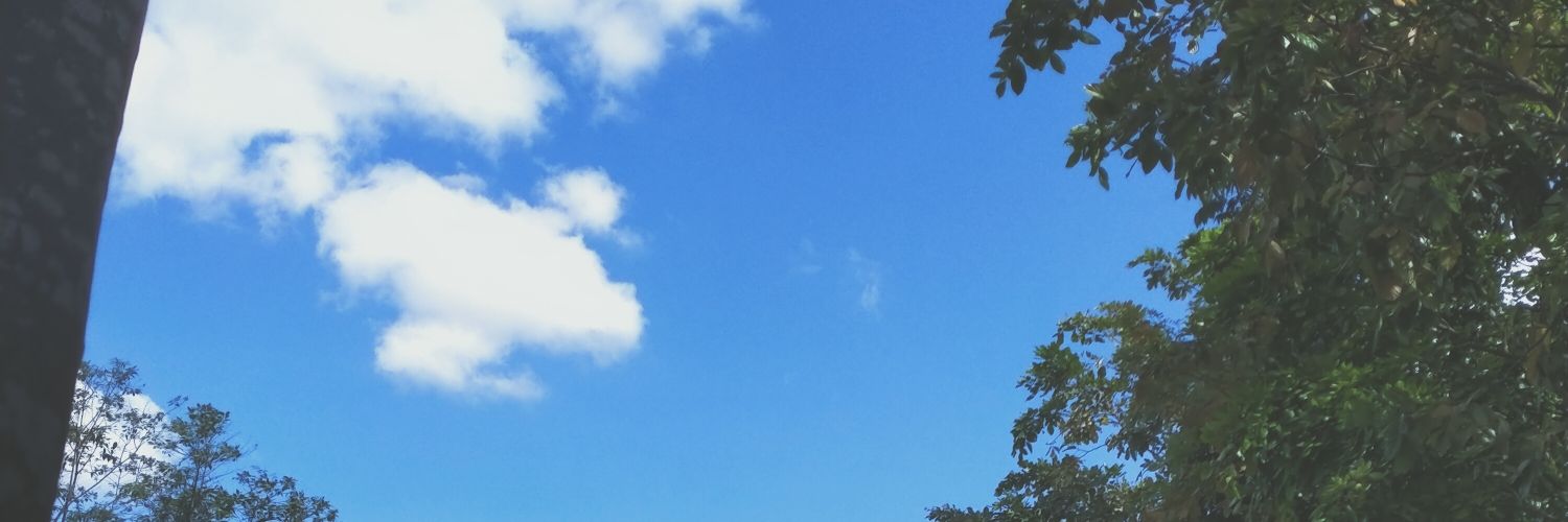Sabilestari's profile banner image