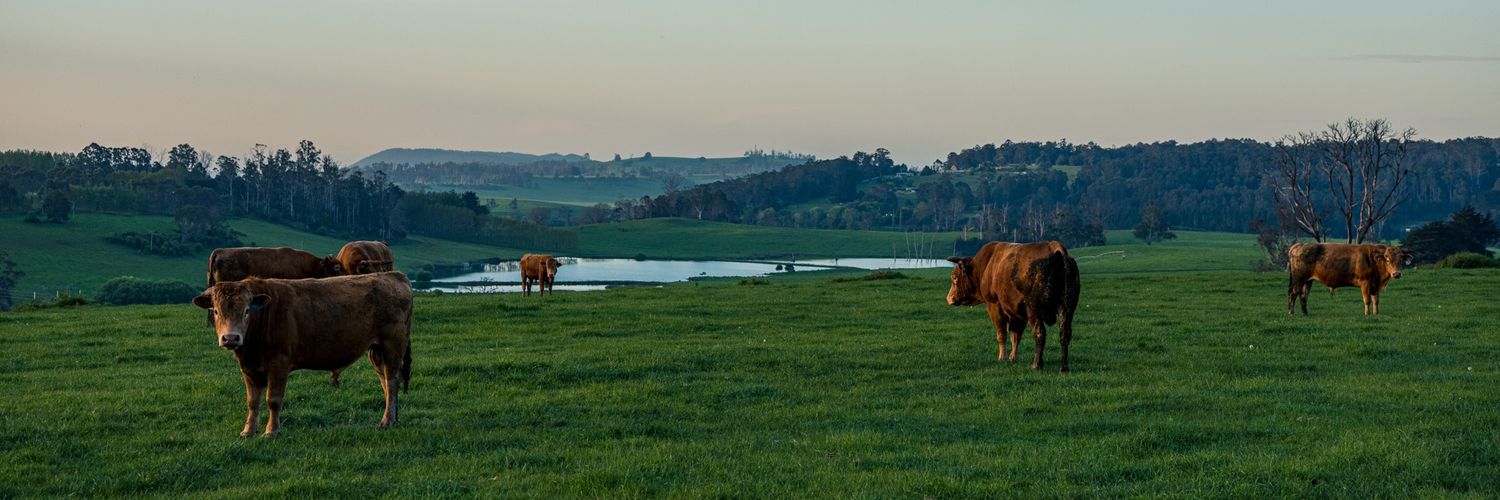 Sam Trethewey banner