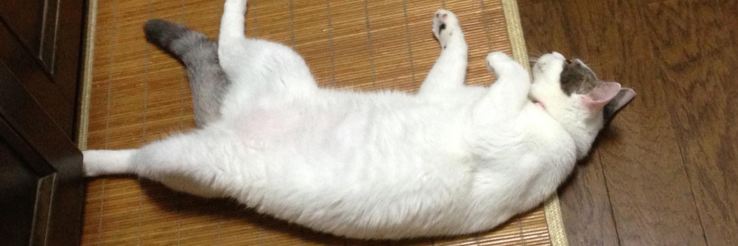 そーじさんは生きてるだけでえらい banner