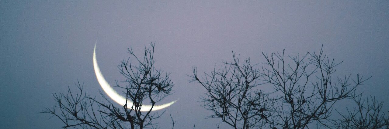 zeynebyesil's profile banner image