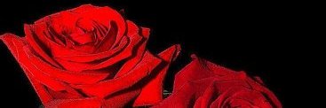 AYDINALAV's profile banner image